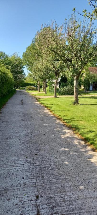 La Ferme Aux Canards Bed & Breakfast Sassetot-le-Mauconduit ภายนอก รูปภาพ